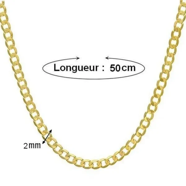 Collier - Maille cheval 2 mm - 50 cm